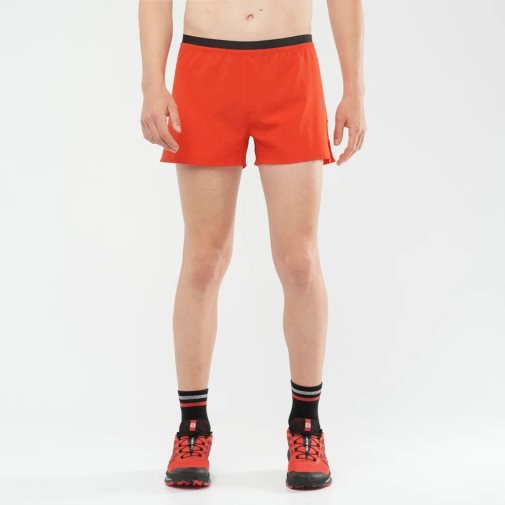 Red Salomon Cross 3'' Men's Shorts | IE NG5092